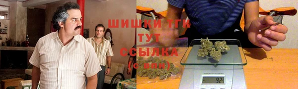 СК Новочеркасск