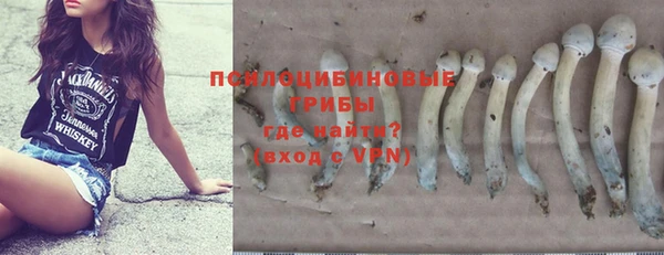 ПСИЛОЦИБИНОВЫЕ ГРИБЫ Братск