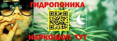 ГАЛЛЮЦИНОГЕННЫЕ ГРИБЫ Новокубанск