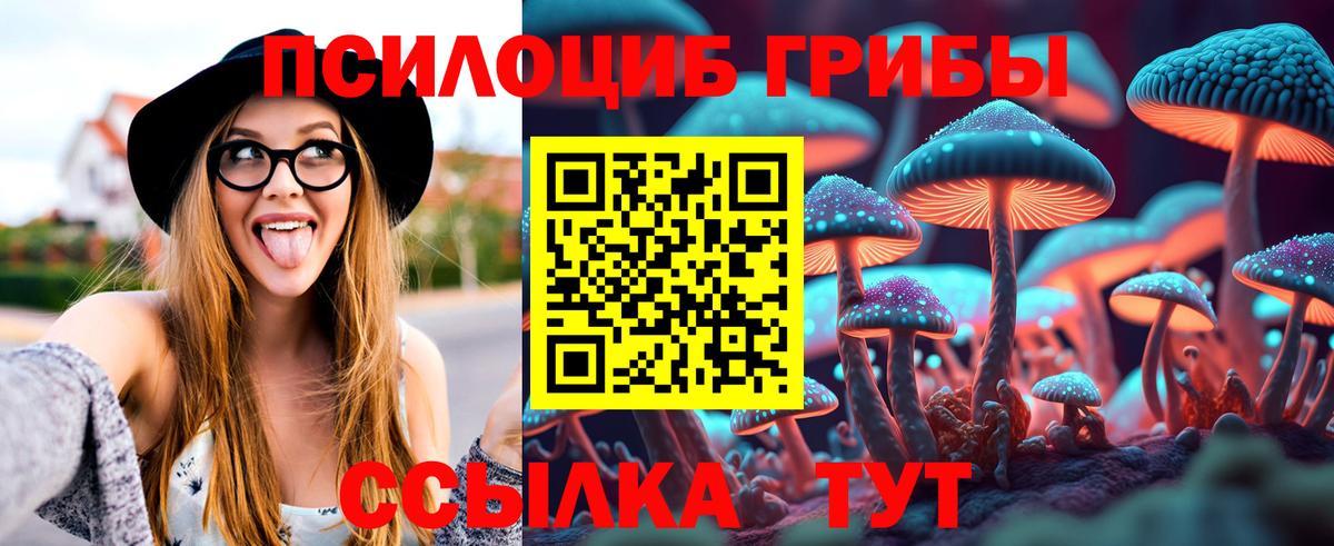 Псилоцибиновые грибы Magic Shrooms  Вход с VPN  Азов  где купить наркоту  Псилоцибиновые грибы ЛСД 